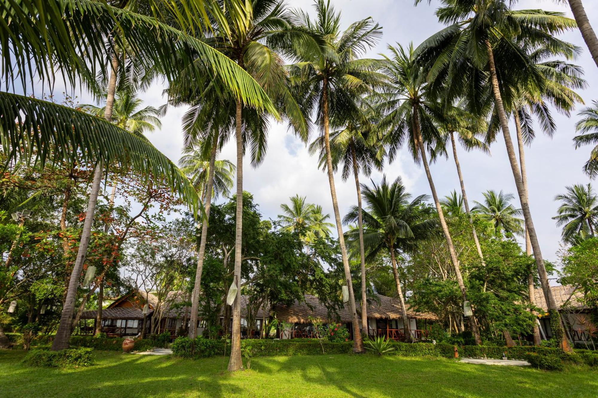 Lipa Lodge Beach Resort Lipa Noi Bagian luar foto
